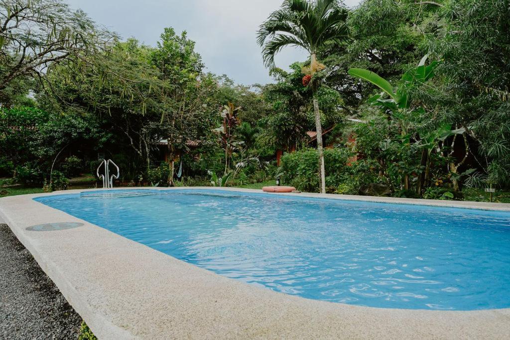 Lodge Mirador - Great Swimming Pool - Kitchen - Bbq - Netflix Tajo Alto Εξωτερικό φωτογραφία
